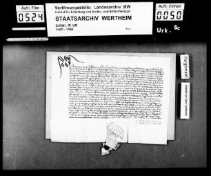 Pfalzgraf Ludwig bei Rhein, Kurfürst, etc., verleiht dem Grafen Ludwig zu Löwenstein (Lewenstein), Herrn zu Scharfeneck (Scharffeneck), benannte Güter zu Oppenheim und Nierstein (Nirstein) zu Burglehen.