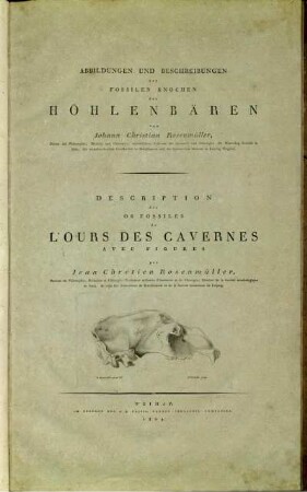 Abbildungen Und Beschreibungen Der Fossilen Knochen Des Höhlenbären