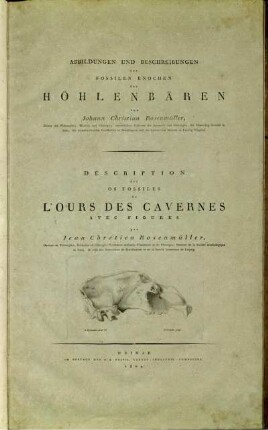 Abbildungen Und Beschreibungen Der Fossilen Knochen Des Höhlenbären