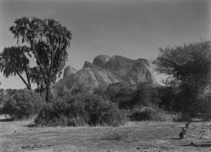 Taka-Berge : Die Taka-Berge bei Kassala