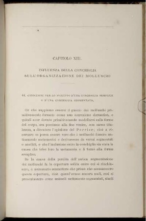 Capitolo XIII. Influenza Della Conchiglia Sull' Organizzazione Dei Molluschi.