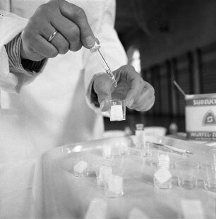 Schluckimpfungs-Aktion des Staatlichen Gesundheitsamts gegen spinale Kinderlähmung.