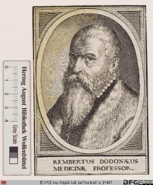 Bildnis Rembert Dodoens (lat. Dodonaeus)