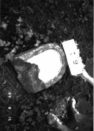 Grabstein 19 (Index: 100105621) Material: Muschelkalk Zustand: unterer Teil der Stele weggebrochen mit Textverlust, Stele liegend, Fragment Maße HxBxT: 51x38x14 cm Beschreibung: Stele, Rundbogenabschluß, Schriftfeld eingetieft: Grabstein 19
