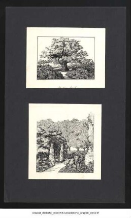 Diederichs-Graphik 0040
