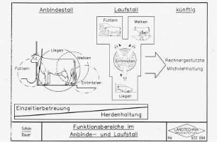 Funktionsbereiche im Anbinde- und Laufstall