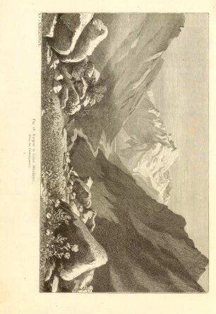 Fig. 18. Kangsar in Lahul (Himâlaya). (Zone des Centralgneiss)