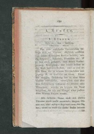 I. Stuffe. I. - III. Klasse