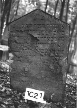 Grabstein 1021 (Index: 99899607) Material: Sandstein Zustand: fast völlig verwittert Maße HxBxT: 93x60x11 cm Beschreibung: Stele mit Dreiecksabschluss: Grabstein 1021