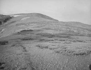Am Mount Kitamata (Kitamata-dake) (2024m) im Iidegebirge : Hochebene