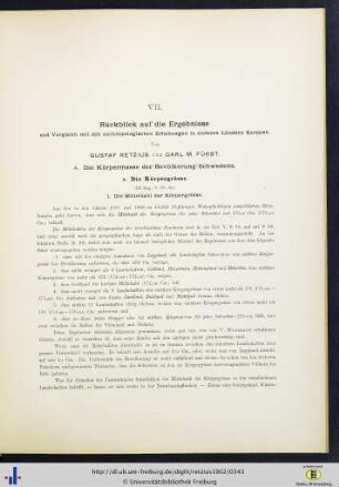 VII. Rückblick auf die Ergebnisse und Vergleich.