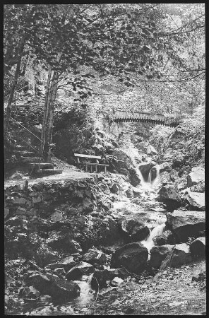 Bad Harzburg. Riesenbachfälle