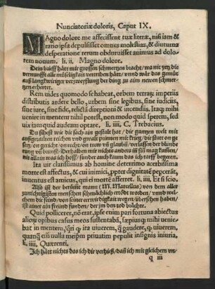 Nunciatoriae doloris, Caput IX.