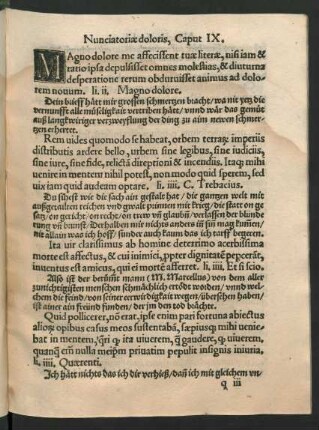 Nunciatoriae doloris, Caput IX.
