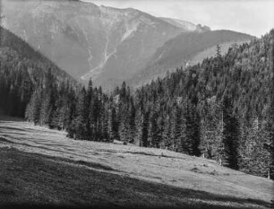 Wald im Tal : Blick in ein bewaldetes Bergtal