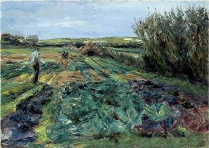 Das Kohlfeld (Kohlfeld in Noordwijk)