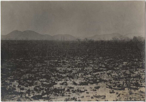 On the plateau north-west of Uazirimi in the headwaters of the Jauru