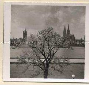 Köln, Rhein mit Dom und Kirche Groß St. Martin
