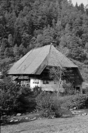 (AM): Altes Schwarzwaldhaus