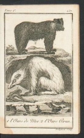 Tafel: 1 l'Ours de Mer. 2 l'Ours Brun.