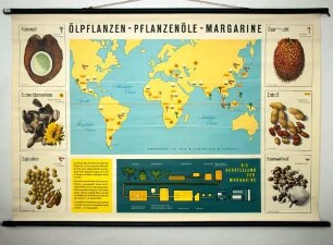 Ölpflanzen - Pflanzenöle - Margarine