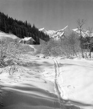 Winterbilder. Skispur im Gebirge (vielleicht in den Allgäuer Alpen)