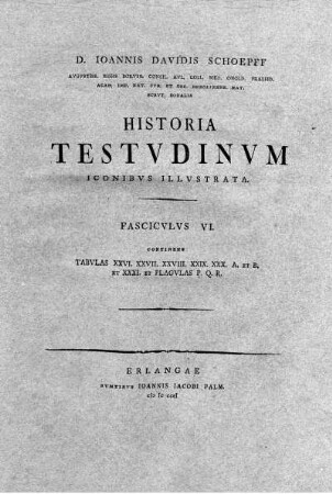 Tab. XXV. Testudo Elegans.