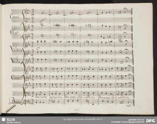 Coro: Misero giovine che vuoi che mediti