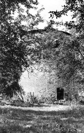 Mutzschen. Holländermühle, Ruine