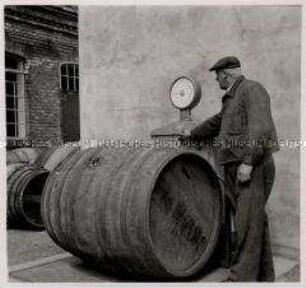 Wien, Bösendorfer Genussmittelwerke Norbert Wieser