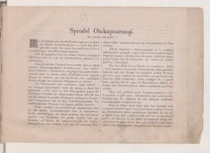 Sprudel Otukapuarangi