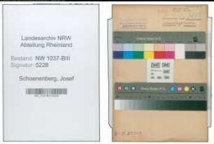 Entnazifizierung Josef Schoenenberg , geb. 09.12.1890 (Buchhalter)