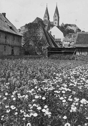 Quedlinburg. Blick zu Schloss und Stiftskirche : Quedlinburg. Blick über eine Gärtnerei auf das Schloß und die Stiftskirche St. Servatius