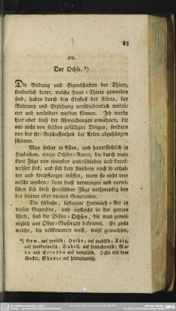20. Der Ochse