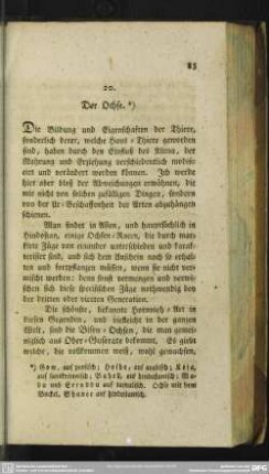 20. Der Ochse