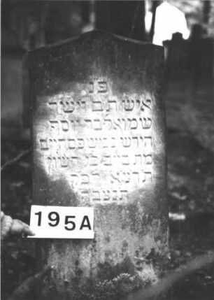 Grabstein 195 (Index: 99899079) Material: Sandstein Zustand: angewittert Maße HxBxT: 116x48x20 cm Beschreibung: aufgesockelte Stele mit Giebelabschluss: Grabstein 195A