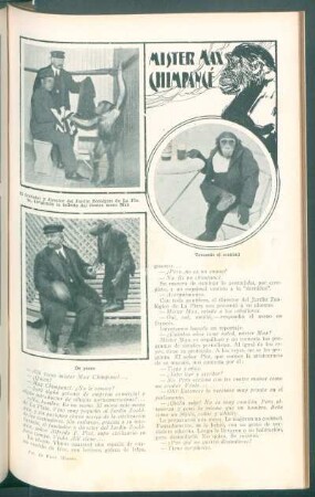 Mister Max chimpancé