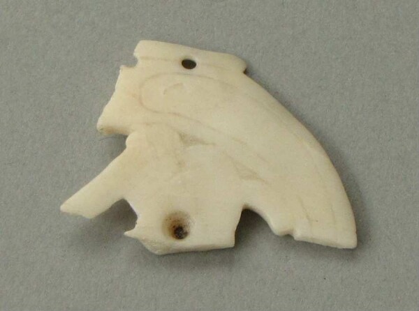 Shell ornament (fragments)