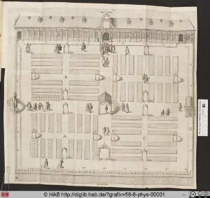 Plan des Hortus Botanicus Leiden.
