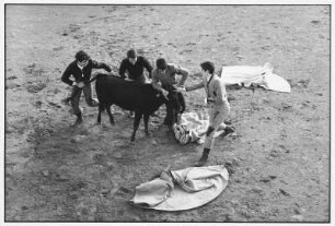 Spanien. Junge Toreros bei einem Stierkampf