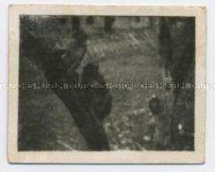 Affe, Foto aus dem Indochina-Konvolut des Legionärs Harry Weiss