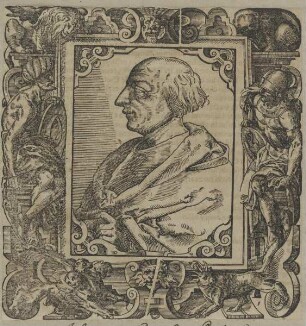 Bildnis des Gian Francesco Poggi