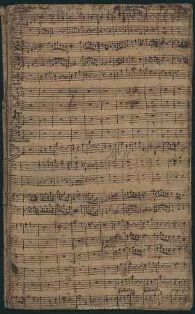 Halleluja singt ihm neue Siegeslieder - Mus.3602-E-512 - Mus.3602-E-512a : V (4), Coro, orch