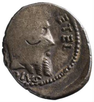 Münze, Denar, 47-46 v. Chr.
