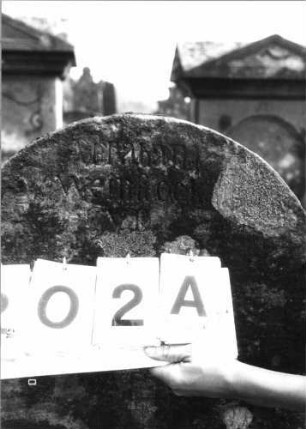Grabstein 202A