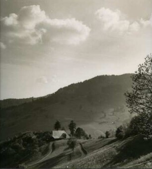 Bauerngehöft bei Wieden