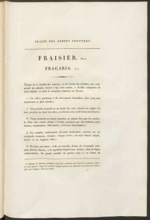 Fraisier. Duh. Fragaria. Lin.