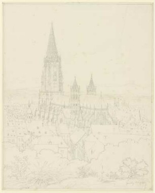 Das Münster in Freiburg im Breisgau, vom Schloßberg gesehen