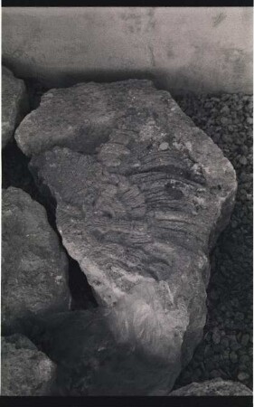 Edzna, Stela 5 (ETZ: St. 5)