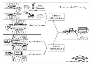Sommerstallfütterung